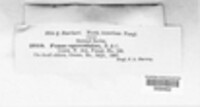 Image Associated With the Occurrence